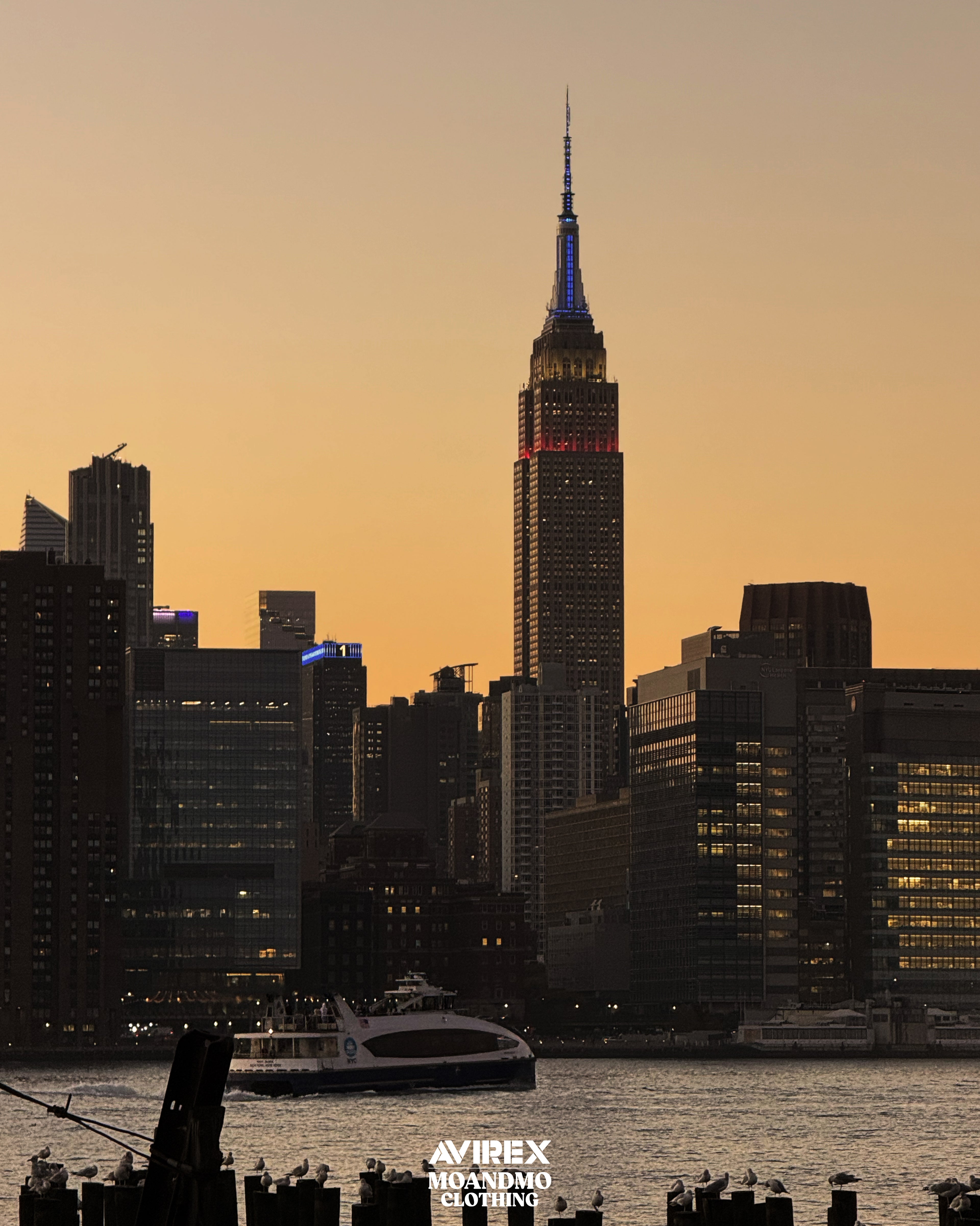 MOANDMO × AVIREX Collaboration 2024