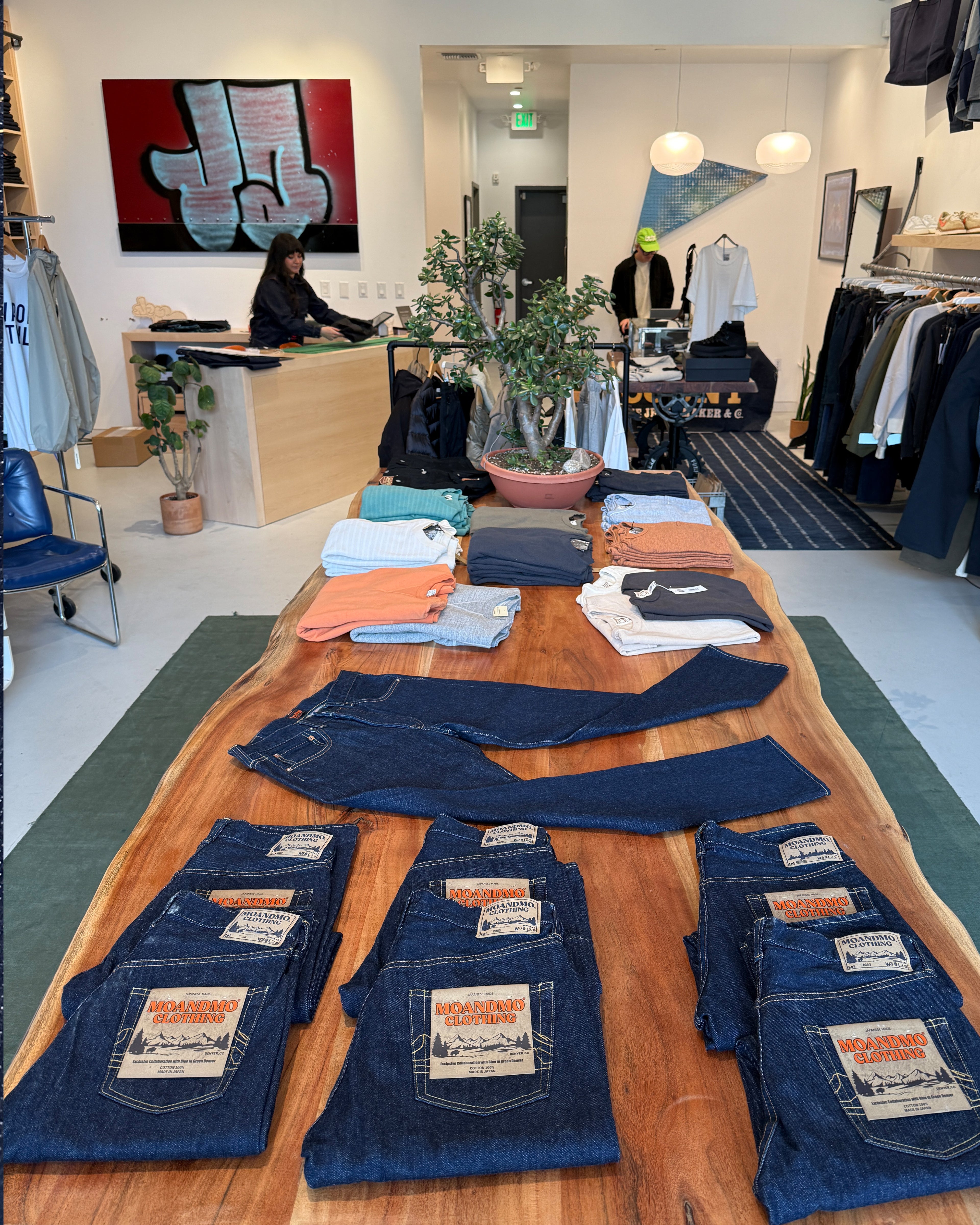 MOANDMO × BLUE IN GREEN DENVER Collaboration 2024