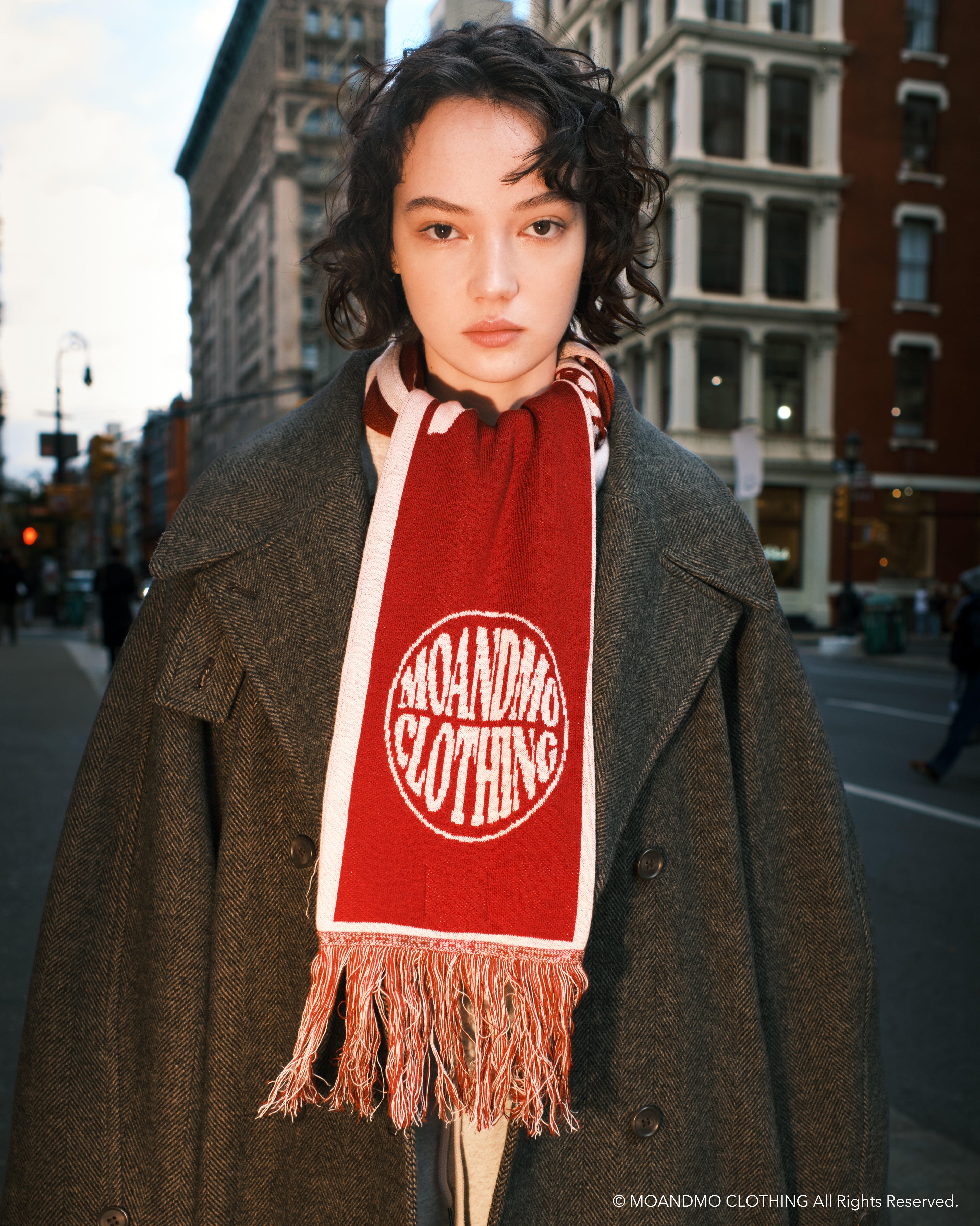 "MOUSSY Collaboration"