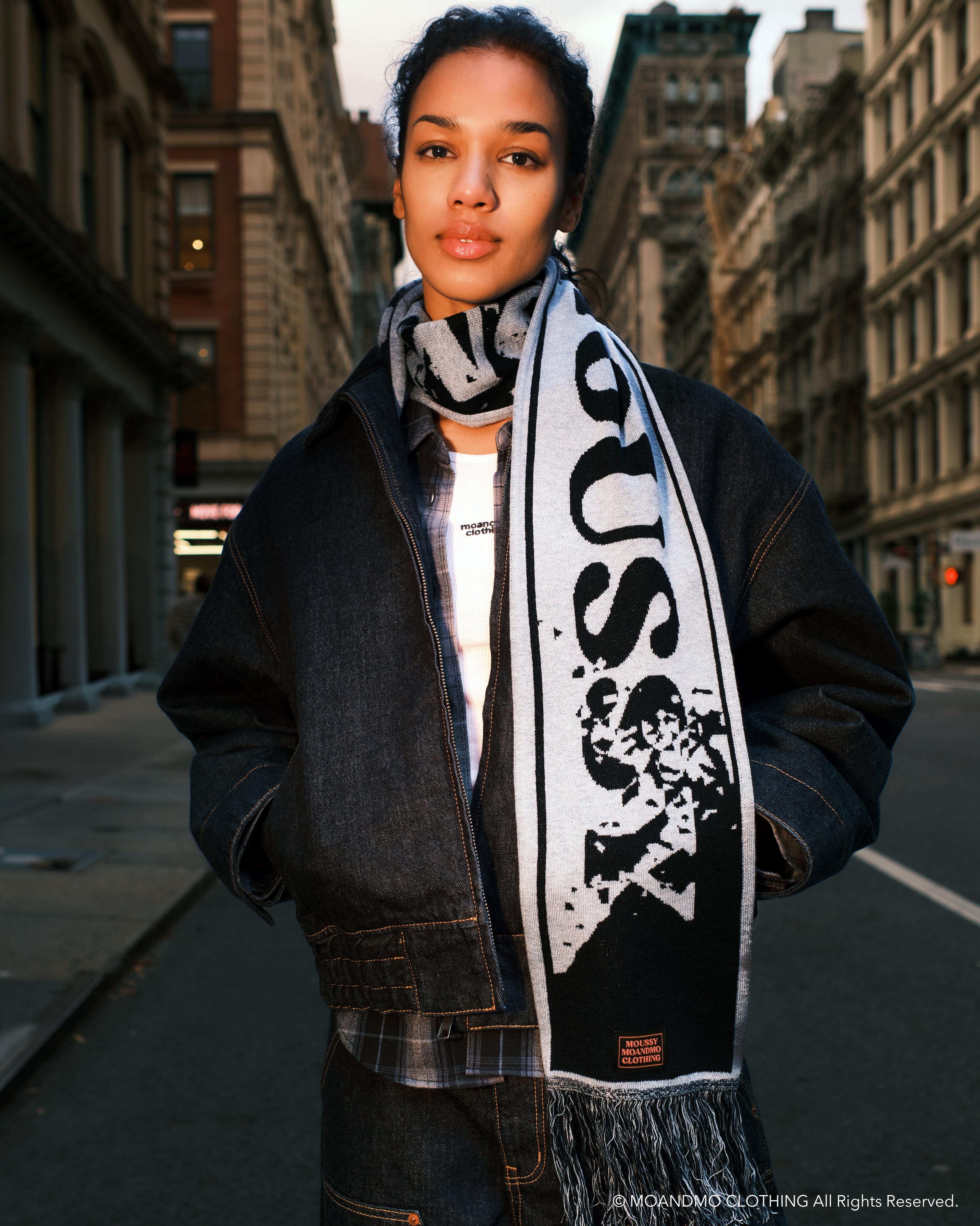 "MOUSSY Collaboration"